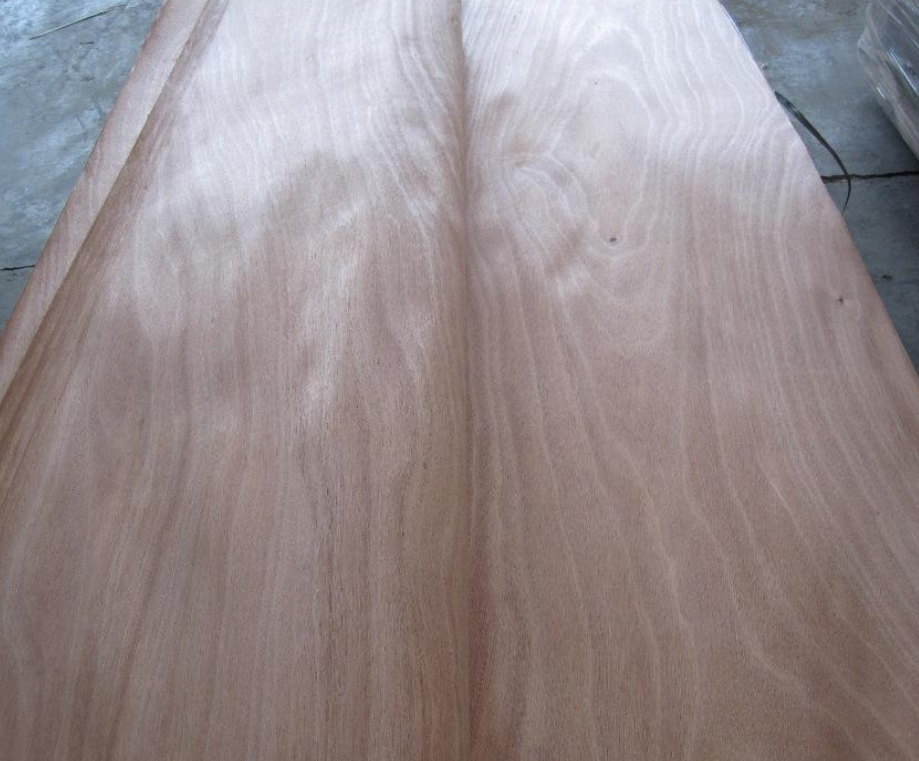 veneers