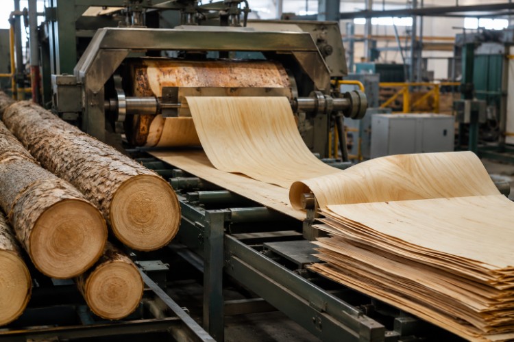 How Is Veneer Made From Logs