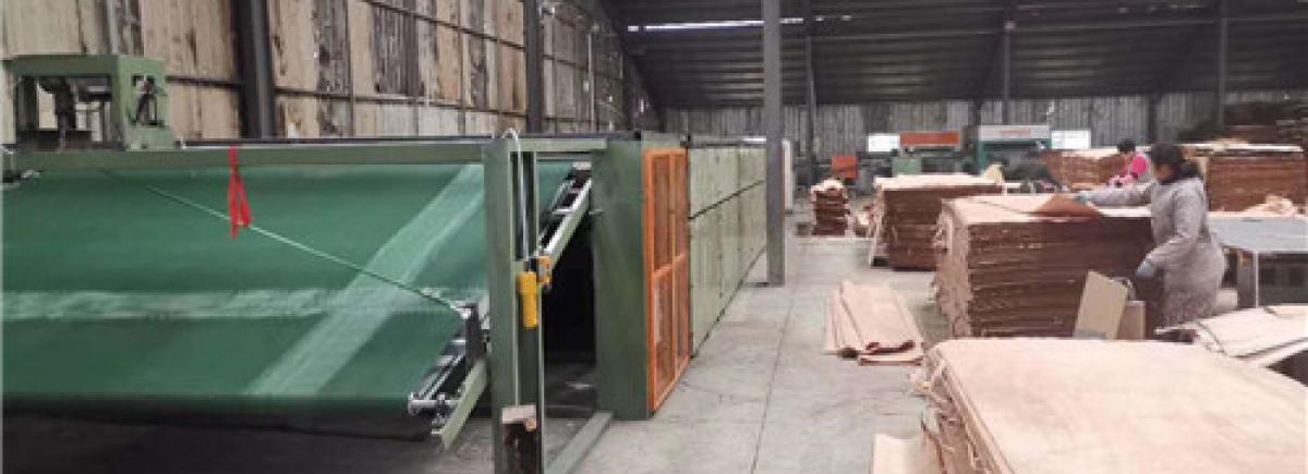 Mesh Belt Veneer Dryer
