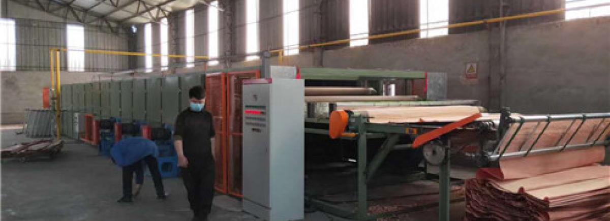 Mesh Belt Veneer Dryer