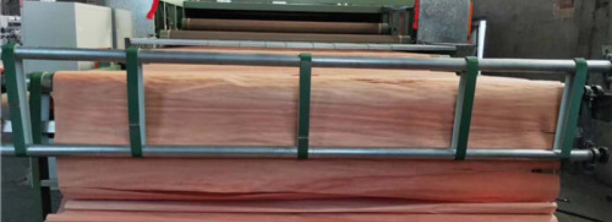 Mesh Belt Veneer Dryers