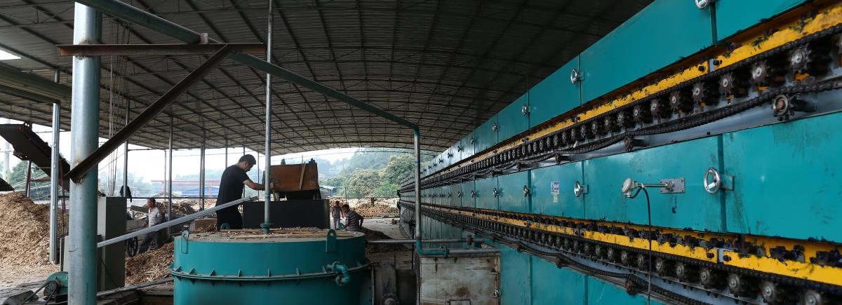 biomass burner veneer dryer 