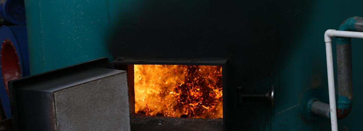 waste wood burned in the biomass burner 