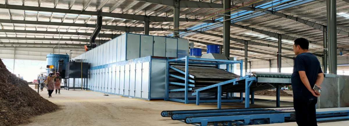 veneer collecting belt