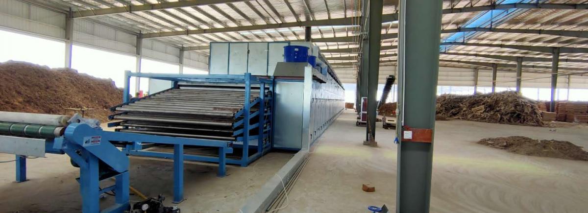 veneer collection high speed converyor 