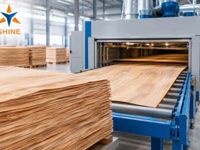 Veneer Drying Process: Complete Guide