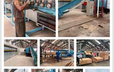 shine roller dryer test running with biomass burner