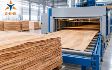Veneer Drying Process: Complete Guide